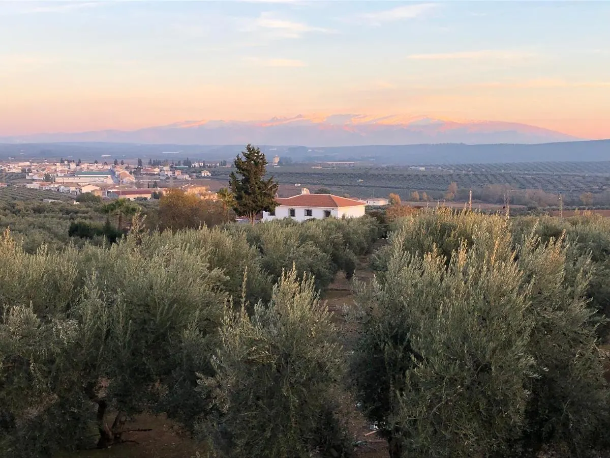 Casita Of Casa Olivar Tocon