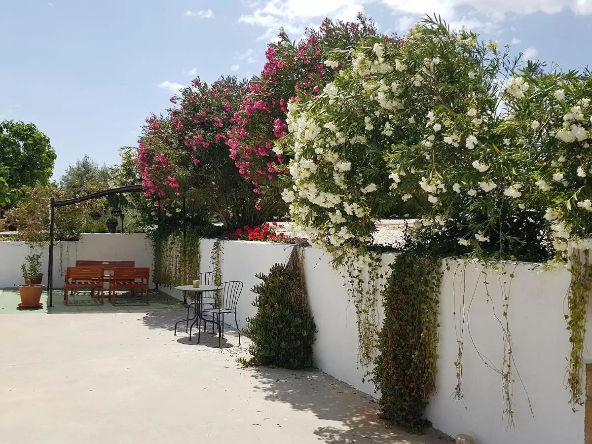 Apartamento Casita Of Casa Olivar Tocon