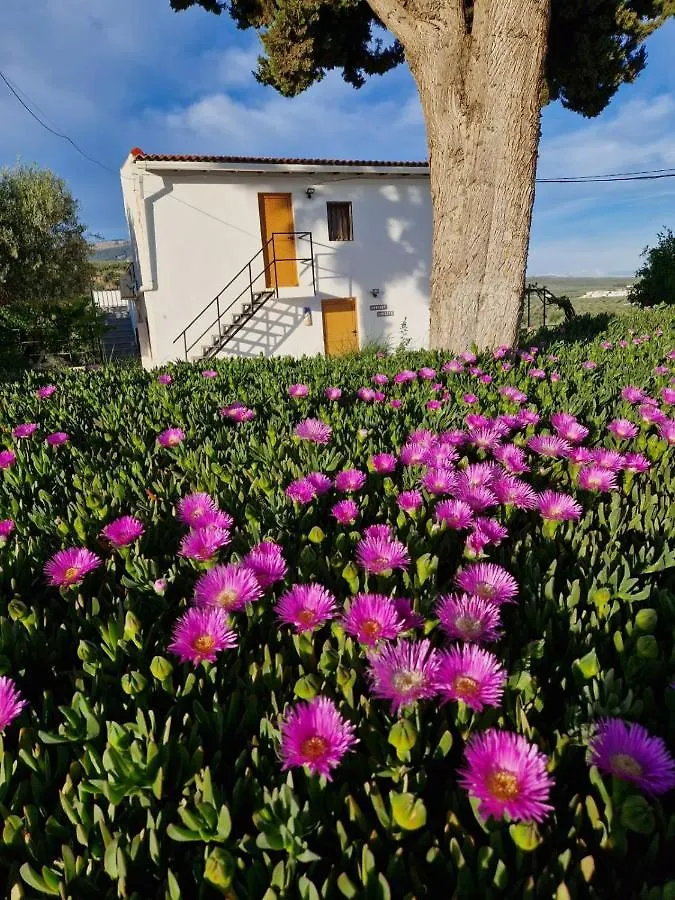 Casita Of Casa Olivar Tocon